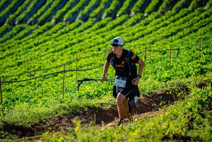 BIB: 1906
                            <button type="button" onclick="openModal(19160385)" class="btn btn-primary btn-sm float-right btn-popup" data-toggle="modal" data-target=".modal-high-quality">
                        <i class="fas fa-shopping-cart"></i> Add to Cart
                    </button>
                                            <button type="button" onclick="isThisMe(19160385, true)" class="btn btn-success btn-sm float-right btn-popup btn-isme hidden" data-toggle="tooltip" data-placement="bottom" title="นี่คือรูปของคุณใช่ไหม คลิกที่นี่เพื่อเอาเข้าอัลบั้ม">
                        <i class="fas fa-plus"></i> Add to album
                    </button>
                    <button type="button" onclick="isThisMe(19160385, false)" class="btn btn-warning btn-sm float-right btn-popup btn-isnotme hidden">
                        <i class="fas fa-ban"></i> Remove from album
                    </button>